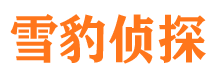 宣化找人公司